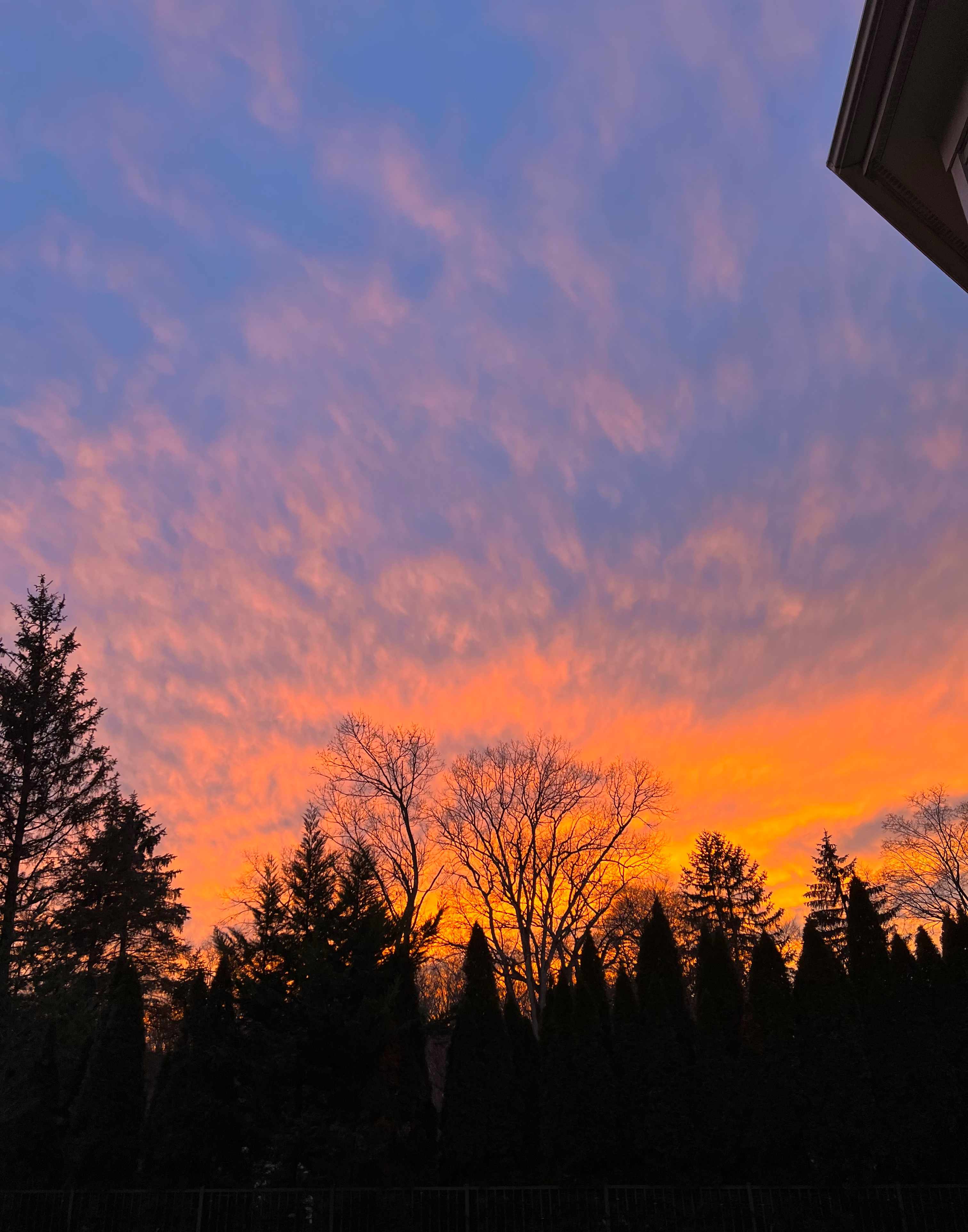 afternoon sky above my home